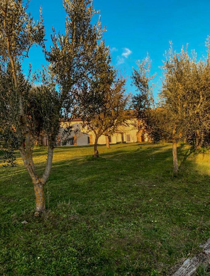 Apartamento Green House Siena Montecchio Exterior foto